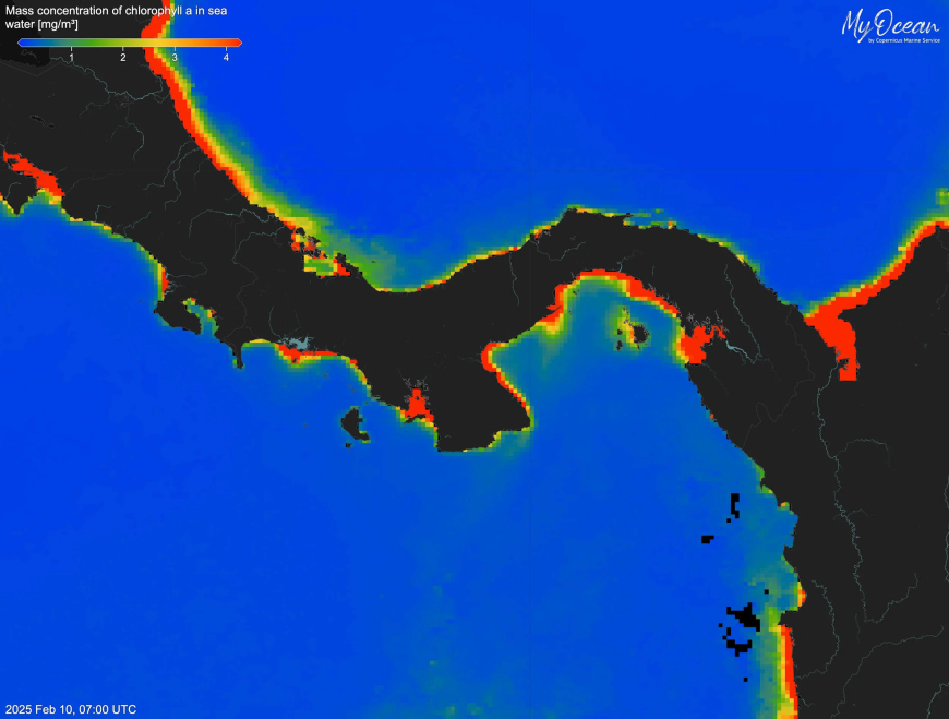 Panama’s Ocean Lifeline Vanishes After 40 Years: An Unprecedented Climate Event