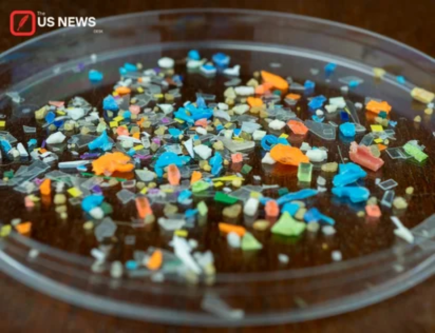 Microplastics in the Food Chain: Unraveling the Long-Term Risks to Human Health