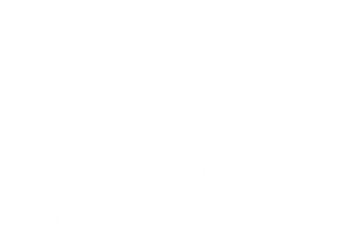 spot_img